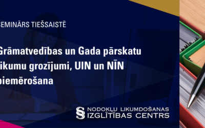 Grāmatvedības un Gada pārskatu likumu grozījumi, UIN un NĪN piemērošana