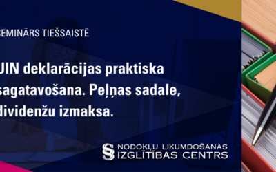 UIN deklarācijas praktiska sagatavošana. Peļņas sadale, dividenžu izmaksa.